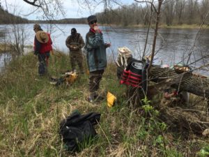 Lunch, with trout lilies and 